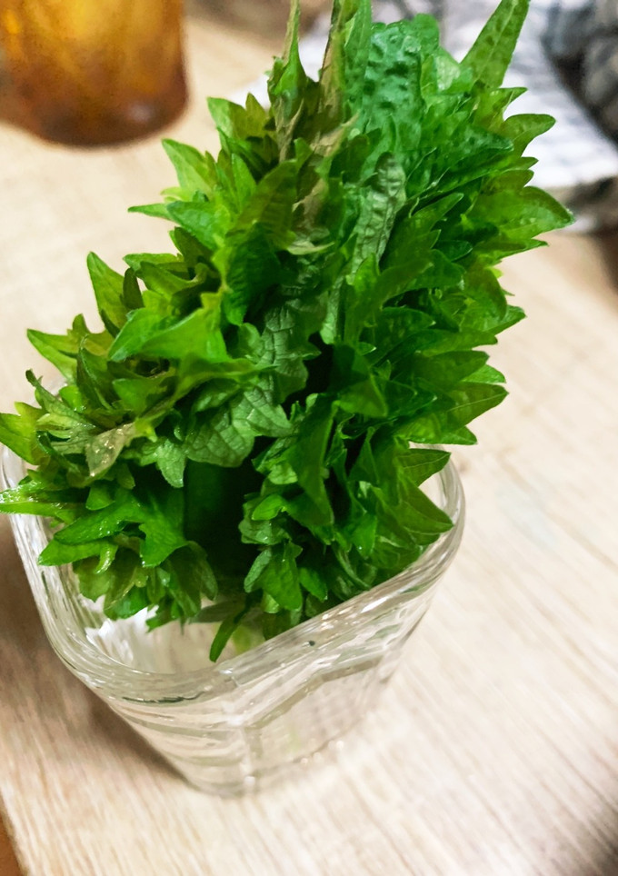 しそを新鮮に保存する方法-レシピのメイン写真