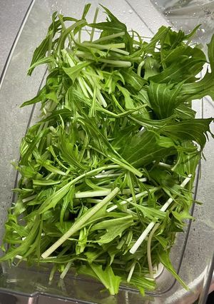 水菜ストック5日持つ-レシピのメイン写真