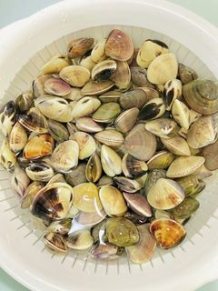 簡単・あさりの砂抜き・蛤の砂抜き-レシピのメイン写真