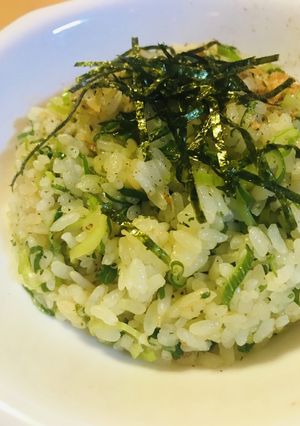 ガーリックライスの素●ネギ炒飯-レシピのメイン写真
