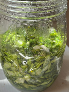 花粉症に!菜の花の漬物-レシピのメイン写真