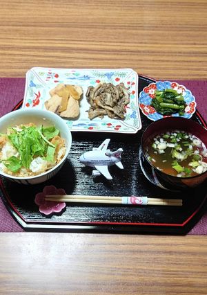 ヨウサマの減塩JAL国際線風FC＜食事＞-レシピのメイン写真