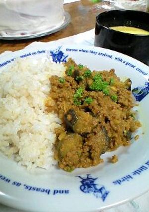 ナスと挽き肉のキーマカレー-レシピのメイン写真