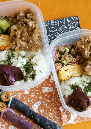 お弁当2024年4月1日-レシピのメイン写真