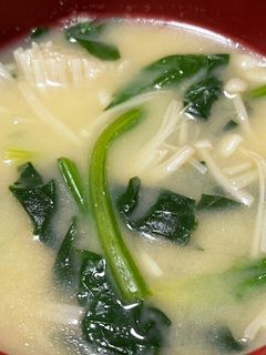 ほうれん草とえのきの味噌汁-レシピのメイン写真