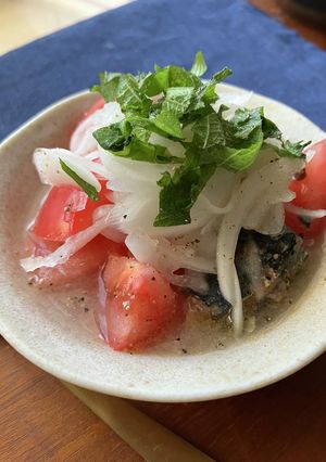 血液サラサラ　酢玉ねぎとサバ缶簡単マリネ-レシピのメイン写真