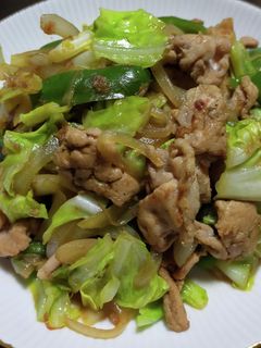 とんかつソースで肉野菜炒め-レシピのメイン写真