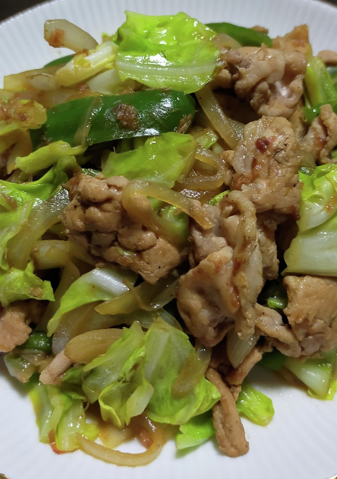 とんかつソースで肉野菜炒め-レシピのメイン写真