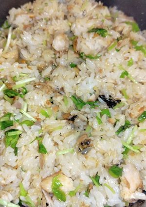 鯖の味醂干しと豆苗の混ぜご飯-レシピのメイン写真