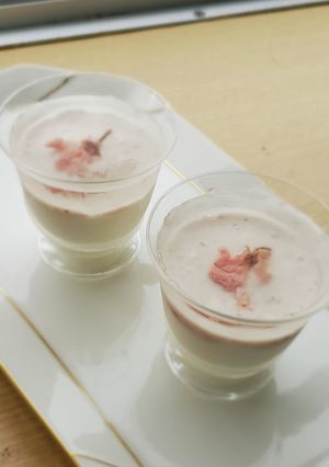 桜のレアチーズケーキ-レシピのメイン写真