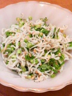 しらすとカブの和え物-レシピのメイン写真