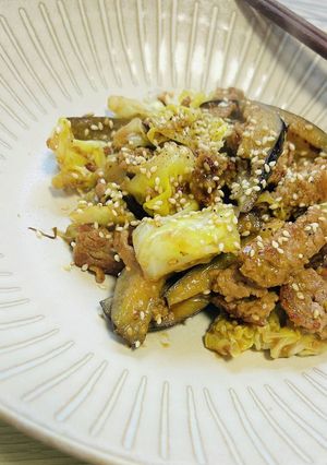 豚ひき肉と茄子とキャベツの胡麻ダレ炒め-レシピのメイン写真