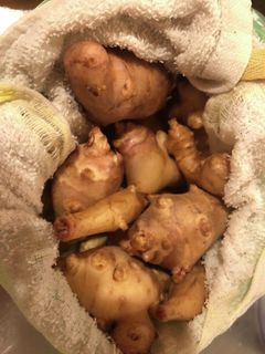 キクイモ長期保存-レシピのメイン写真