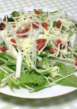 簡単、居酒屋で食べたシャキシャキサラダ-レシピのメイン写真