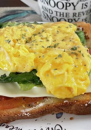 ランチ｜オープンサンド-レシピのメイン写真