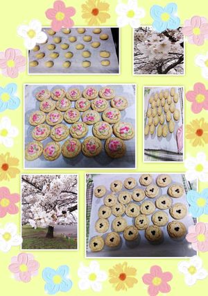 SAKURA咲く桜型✿Cookie✿-レシピのメイン写真