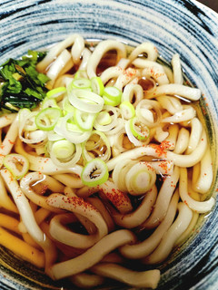 節約〜♫茹でうどん♪簡単かけうどん-レシピのメイン写真