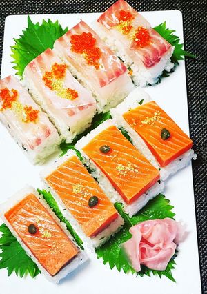 鯛とサーモンの押し寿司-レシピのメイン写真