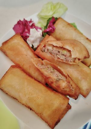 【スプリング餃子ロール】餃子タネで春巻き-レシピのメイン写真