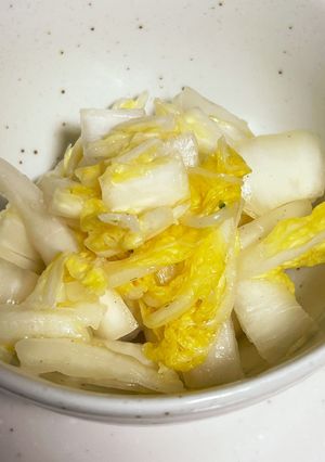 《カレーのお供にも♪》大根と白菜の漬物-レシピのメイン写真