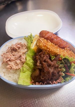 JK簡単弁当2024/04/09-レシピのメイン写真