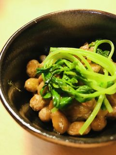 毎日の納豆●豆苗添え-レシピのメイン写真