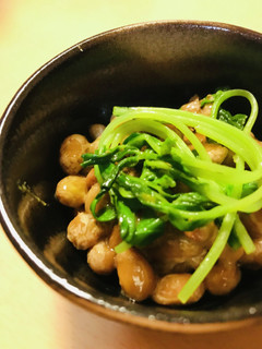 毎日の納豆●豆苗添え-レシピのメイン写真
