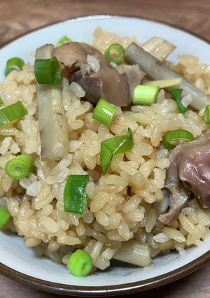 砂肝とごぼうの炊き込みご飯-レシピのメイン写真