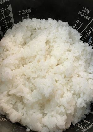 すし飯はすし酢で簡単、美味しい -レシピのメイン写真