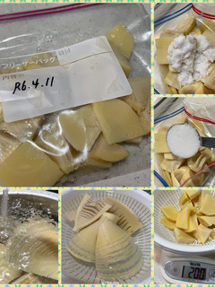 たけのこ冷凍保存(2024)-レシピのメイン写真