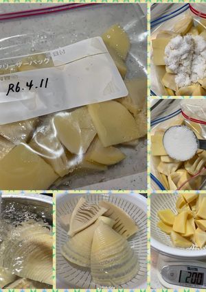 たけのこ冷凍保存（2024）-レシピのメイン写真