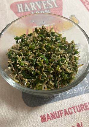大根の葉っぱのふりかけ-レシピのメイン写真