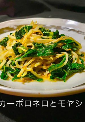 No3316カーボロネロとモヤシ-レシピのメイン写真