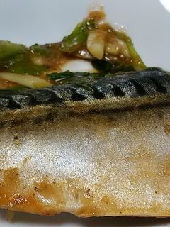 鯖の味噌煮-レシピのメイン写真