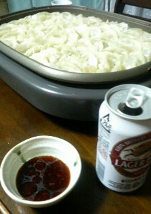 ホットプレートでドカンと焼く野菜餃子♪-レシピのメイン写真
