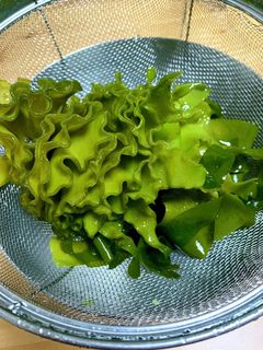 めかぶの下ごしらえ-レシピのメイン写真