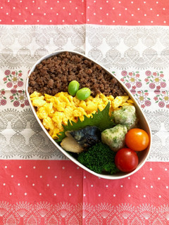 女子高校生弁当 2024.4.15-レシピのメイン写真