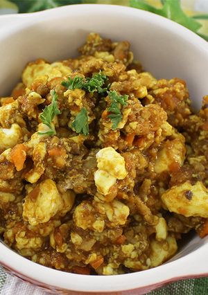 簡単ヘルシー＊豆腐とひき肉のカレー炒め-レシピのメイン写真