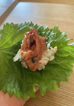 大葉　大量消費-レシピのメイン写真
