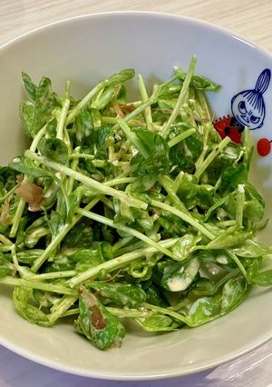 無限に食べたい!豆苗サラダ-レシピのメイン写真