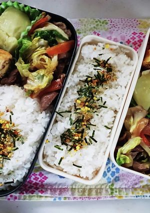 春キャベツと豚肉炒め弁当(4.16)-レシピのメイン写真