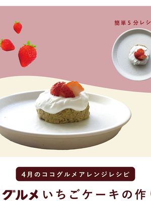 犬ご飯 /ココグルメいちごケーキ-レシピのメイン写真
