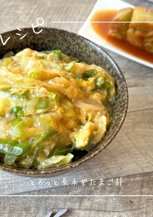 とろっと長ネギたまご丼-レシピのメイン写真