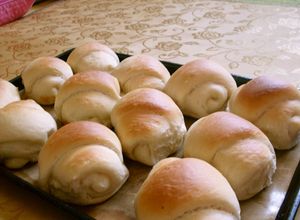 我が家のロールパン(中力粉だよ) 我が家のロールパン(中力粉だよ)-レシピのメイン写真