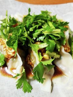簡単!パクチーたっぷり水餃子のよだれ鶏風-レシピのメイン写真