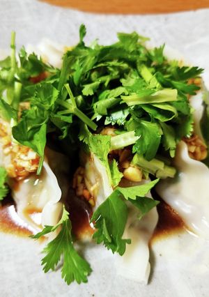 簡単!パクチーたっぷり水餃子のよだれ鶏風-レシピのメイン写真