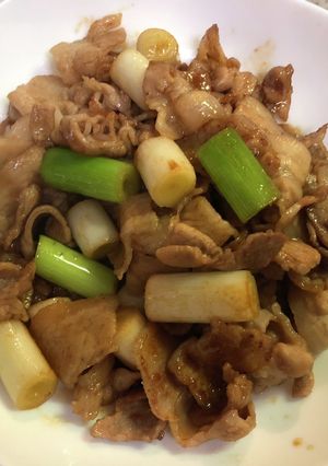 豚バラと長ネギの焼き肉のタレ炒め-レシピのメイン写真