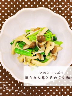 ほうれん草ときのこの和え物-レシピのメイン写真