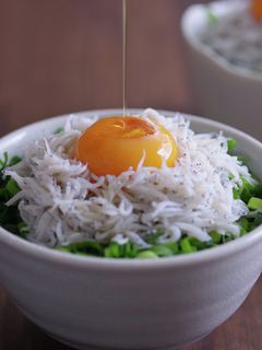 ごま油が決め手!また食べたくなるしらす丼-レシピのメイン写真