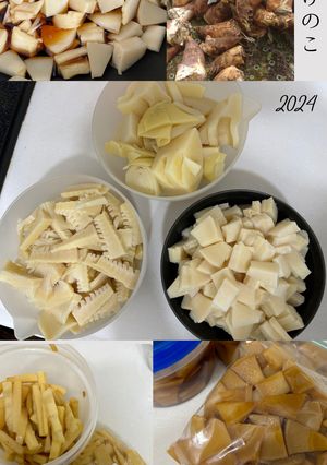 【タケノコ切り方3種】冷凍保存・作り置き-レシピのメイン写真
